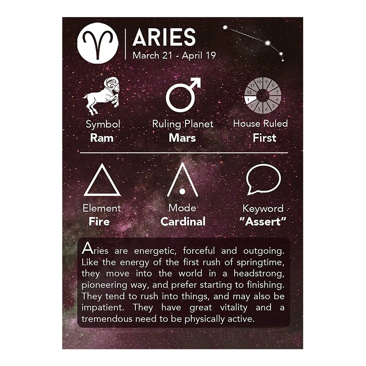 Aries Constellation Zodiac Star Sign Leather Wrist Band Bracelet